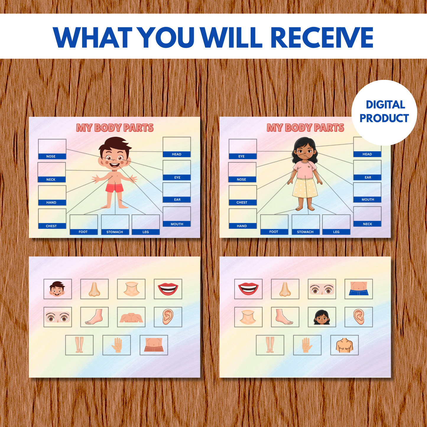 Sakuya Body Parts Activity Book | Human Body Busy Book | Matching Activity for Kids Learning Human Body Printable Educational Worksheets