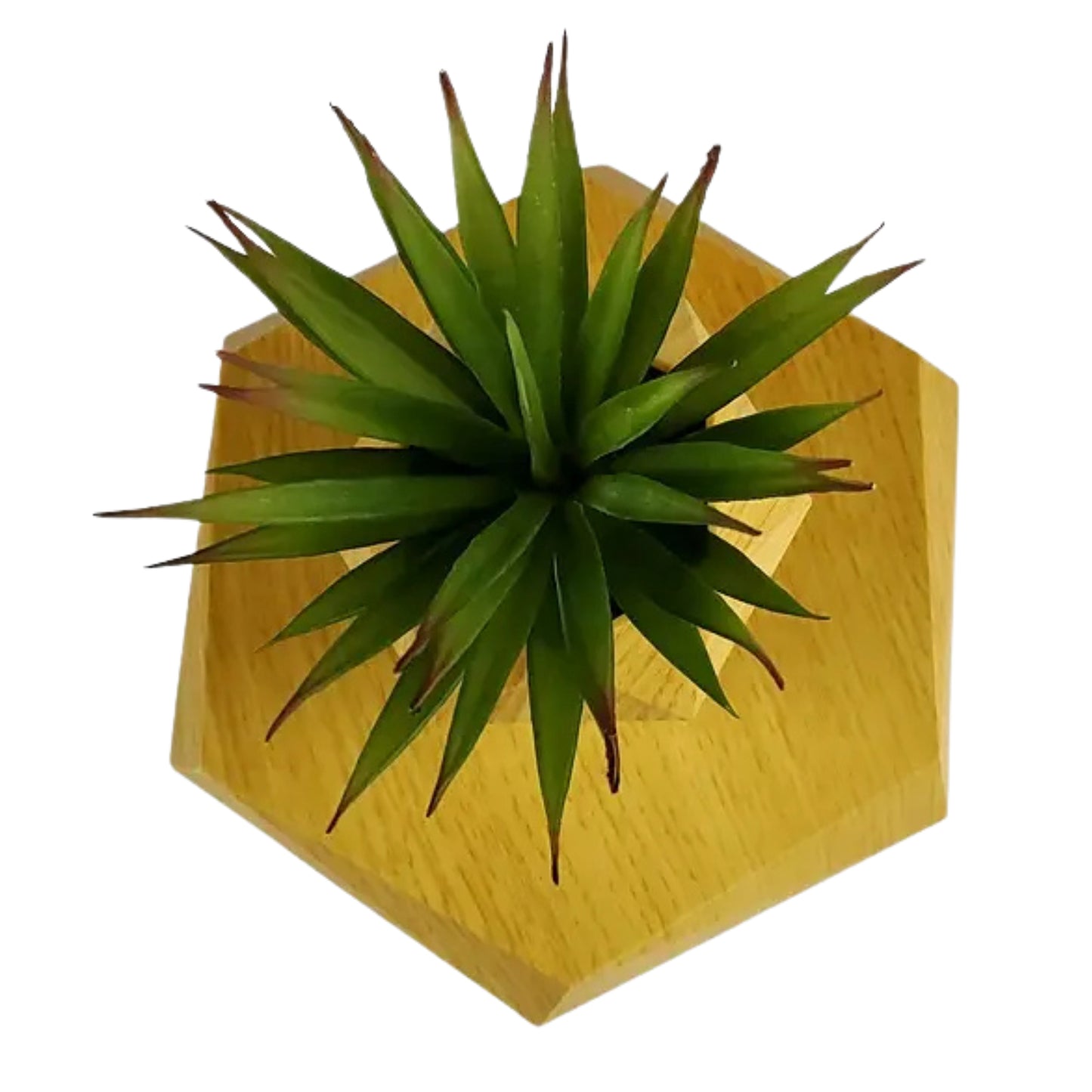 Sakuya Magnetic Levitating Plant Pot with Power Cord | Floating & Rotating Planter with Wooden Finish | Home & Office Decor | Unique Desk Ornament & Gift for Plant Lovers