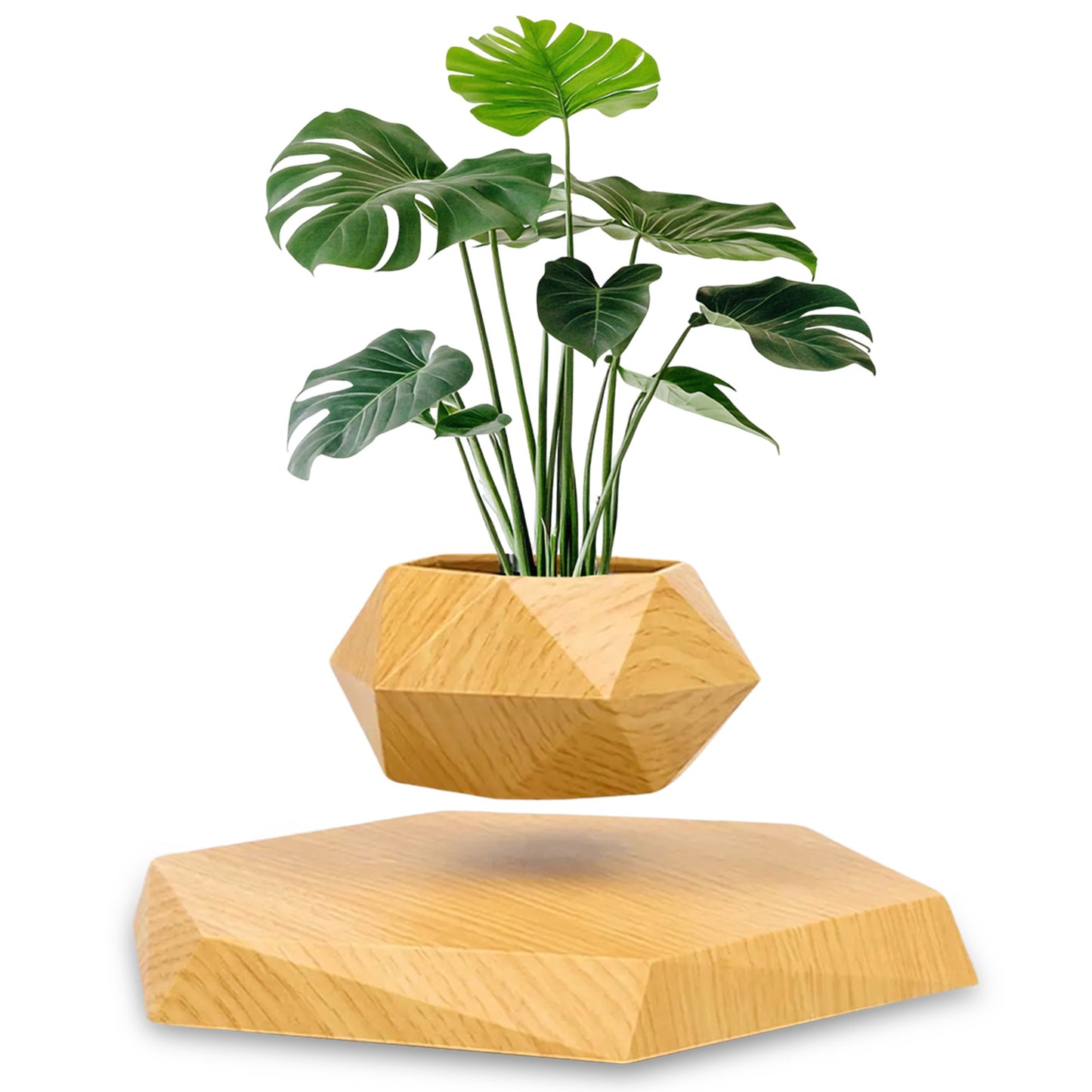 Sakuya Magnetic Levitating Plant Pot with Power Cord | Floating & Rotating Planter with Wooden Finish | Home & Office Decor | Unique Desk Ornament & Gift for Plant Lovers