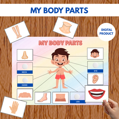 Sakuya Body Parts Activity Book | Human Body Busy Book | Matching Activity for Kids Learning Human Body Printable Educational Worksheets