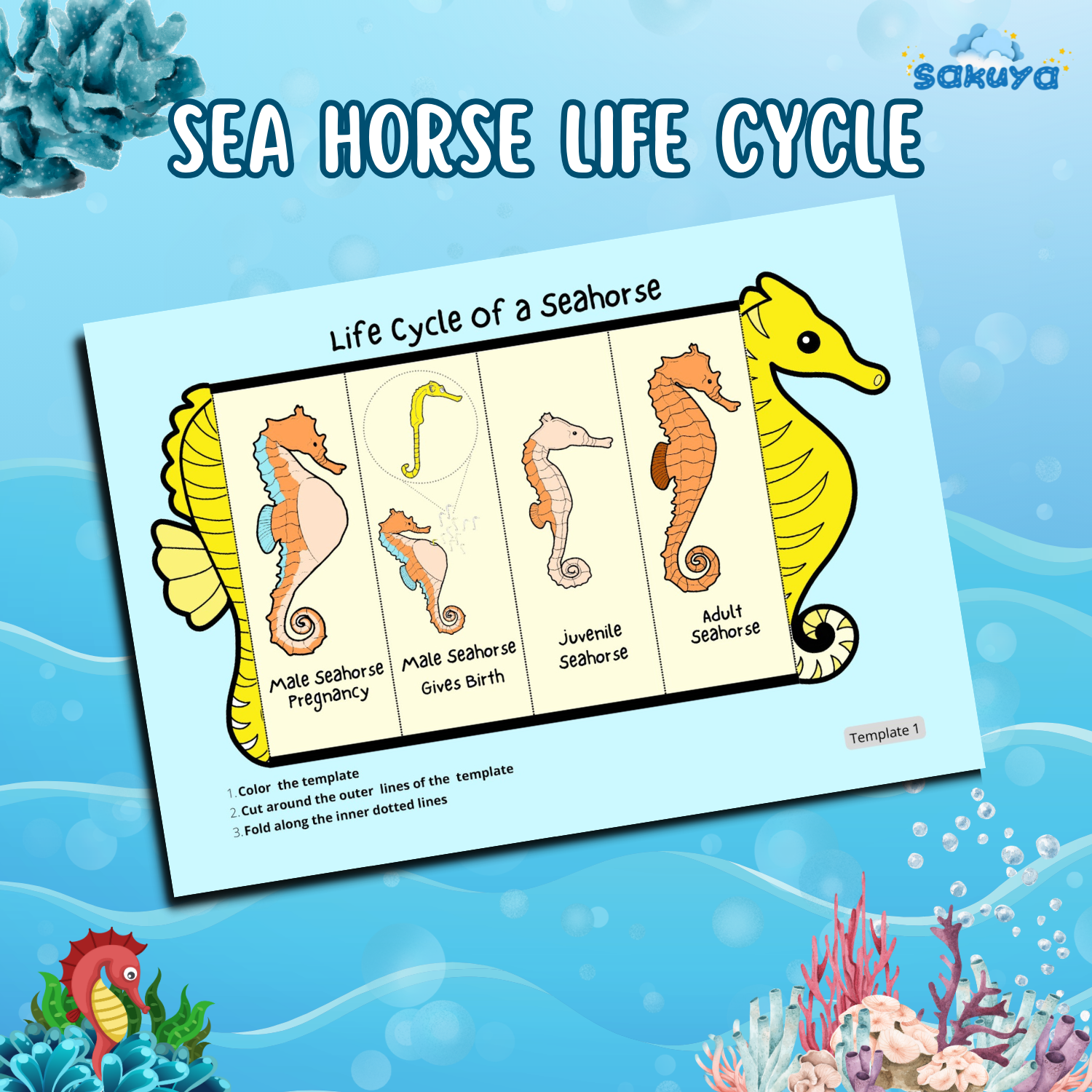 Sakuya Printable Foldable Seahorse with life cycle -Easy Craft Activity for Kids, Perfect for Learning & Play. - Sakuya