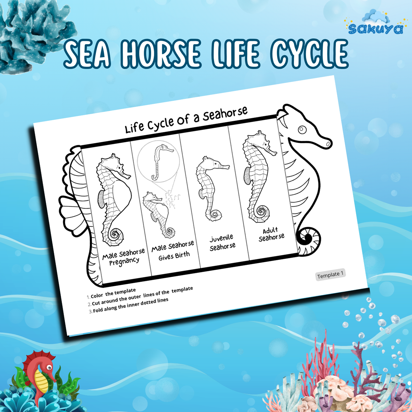 Sakuya Printable Foldable Seahorse with life cycle -Easy Craft Activity for Kids, Perfect for Learning & Play. - Sakuya