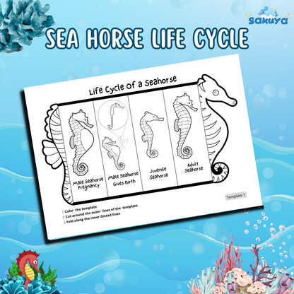 Sakuya Printable Foldable Seahorse with life cycle -Easy Craft Activity for Kids, Perfect for Learning & Play. - Sakuya