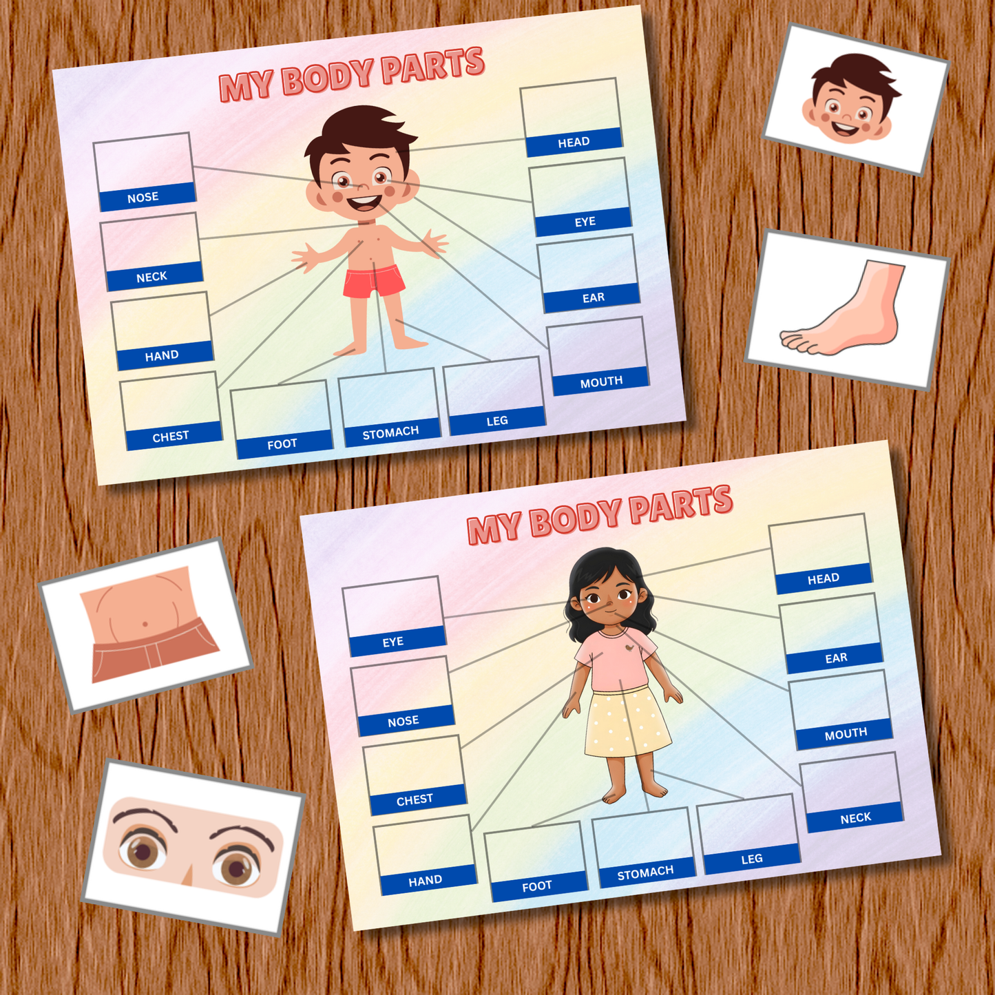Sakuya Body Parts Activity Book | Human Body Busy Book | Matching Activity for Kids Learning Human Body Printable Educational Worksheets