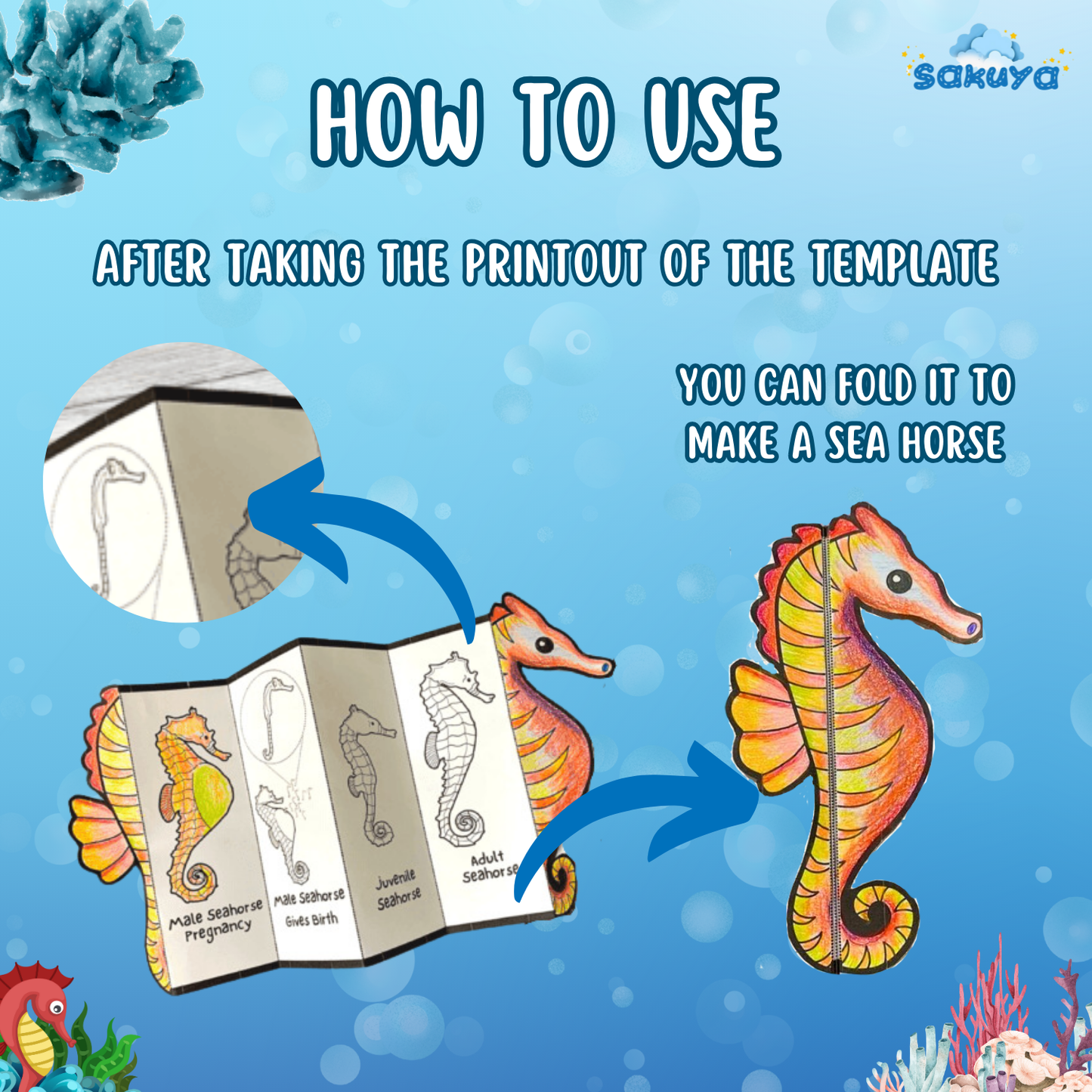 Sakuya Printable Foldable Seahorse with life cycle -Easy Craft Activity for Kids, Perfect for Learning & Play. - Sakuya