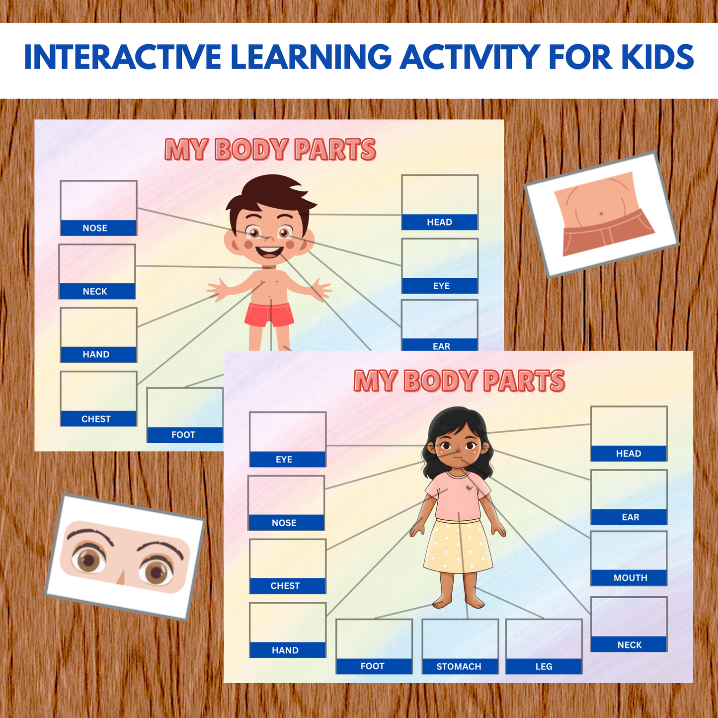 Sakuya Body Parts Activity Book | Human Body Busy Book | Matching Activity for Kids Learning Human Body Printable Educational Worksheets