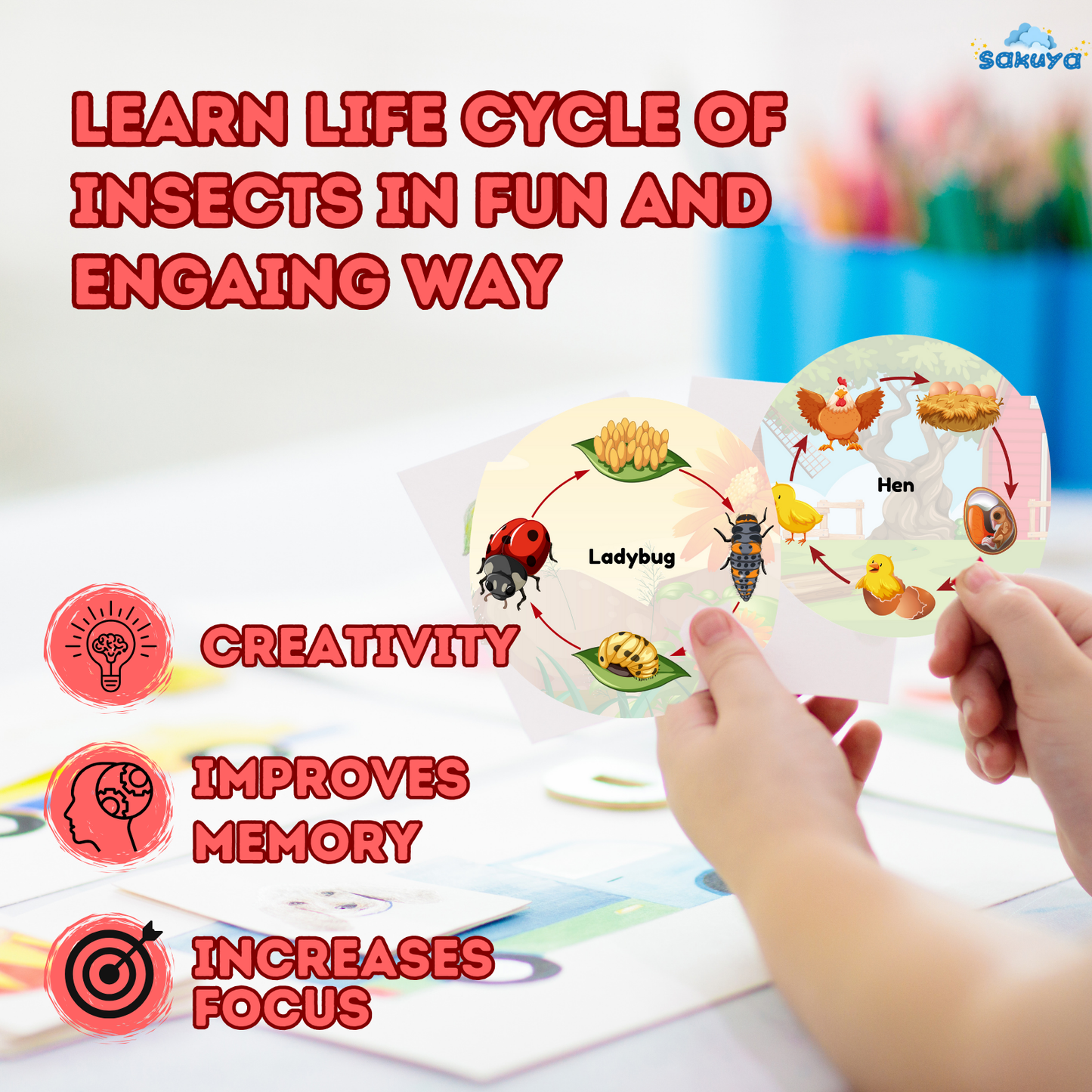 Sakuya Insect Life Cycle – Fun & Educational Learning for Kids | Boost Creativity & Knowledge| Printable Life Cycle of Insect - Sakuya