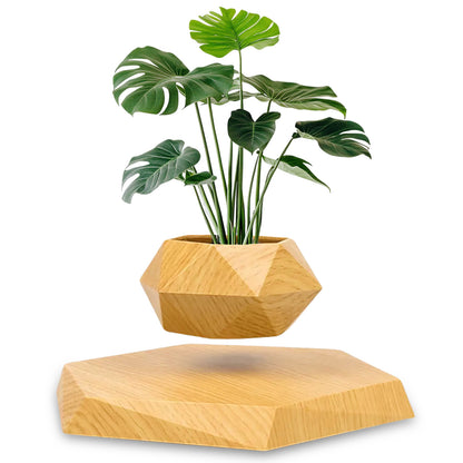 Sakuya Magnetic Levitating Plant Pot with Power Cord | Floating & Rotating Planter with Wooden Finish | Home & Office Decor | Unique Desk Ornament & Gift for Plant Lovers